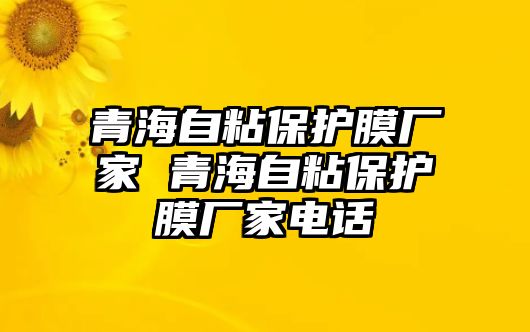 青海自粘保護(hù)膜廠家 青海自粘保護(hù)膜廠家電話