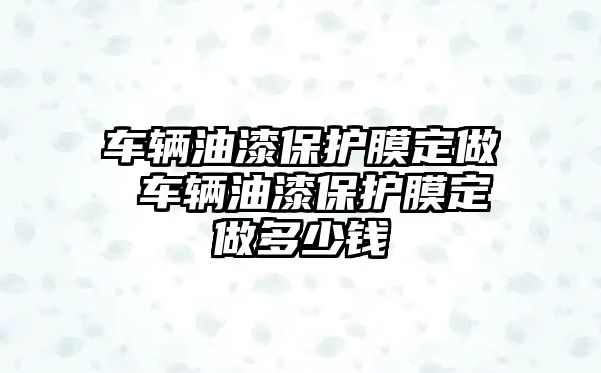 車輛油漆保護(hù)膜定做 車輛油漆保護(hù)膜定做多少錢