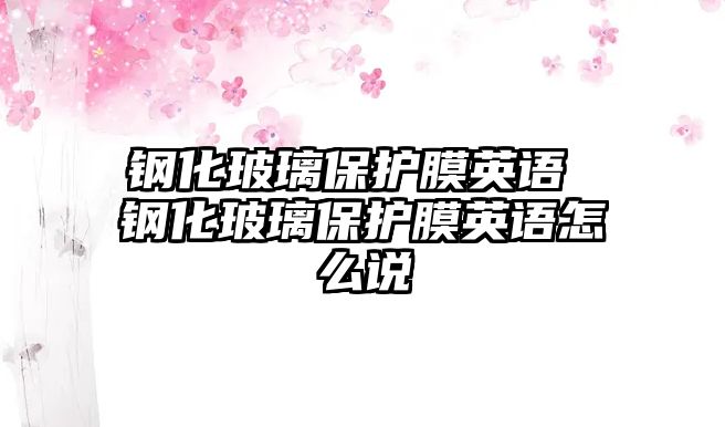 鋼化玻璃保護膜英語 鋼化玻璃保護膜英語怎么說