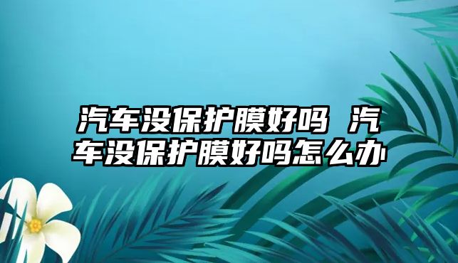 汽車(chē)沒(méi)保護(hù)膜好嗎 汽車(chē)沒(méi)保護(hù)膜好嗎怎么辦