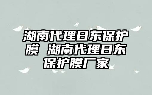 湖南代理日東保護膜 湖南代理日東保護膜廠家