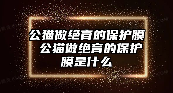 公貓做絕育的保護(hù)膜 公貓做絕育的保護(hù)膜是什么