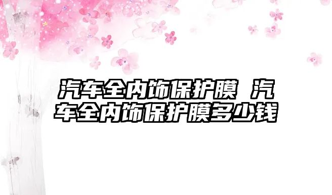 汽車全內飾保護膜 汽車全內飾保護膜多少錢