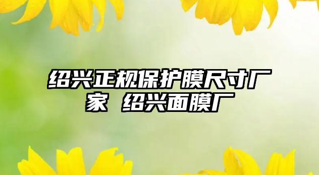 紹興正規(guī)保護(hù)膜尺寸廠家 紹興面膜廠