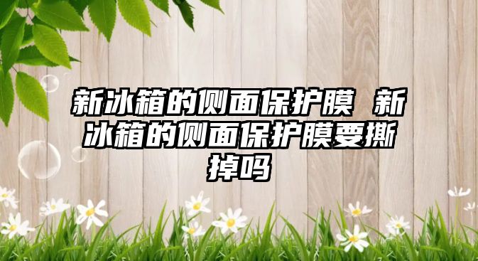 新冰箱的側(cè)面保護膜 新冰箱的側(cè)面保護膜要撕掉嗎