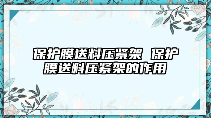 保護(hù)膜送料壓緊架 保護(hù)膜送料壓緊架的作用