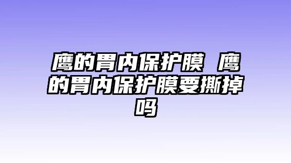 鷹的胃內保護膜 鷹的胃內保護膜要撕掉嗎